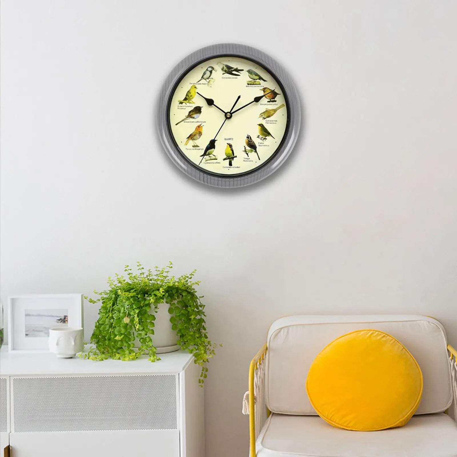 Horloge Oiseaux Chantants | 12 Espèces Authentiques | Thérapeutique