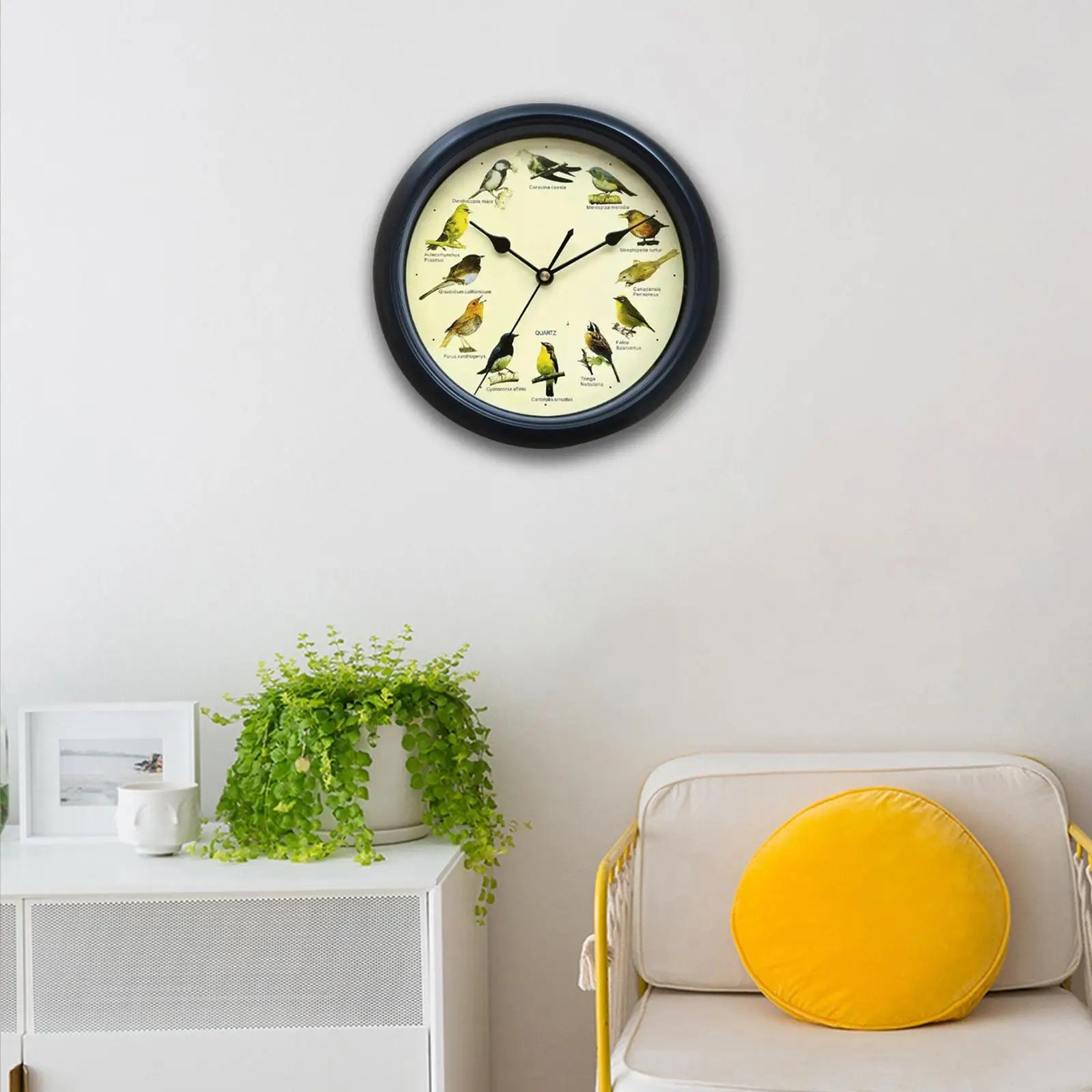 Horloge Oiseaux Chantants | 12 Espèces Authentiques | Thérapeutique