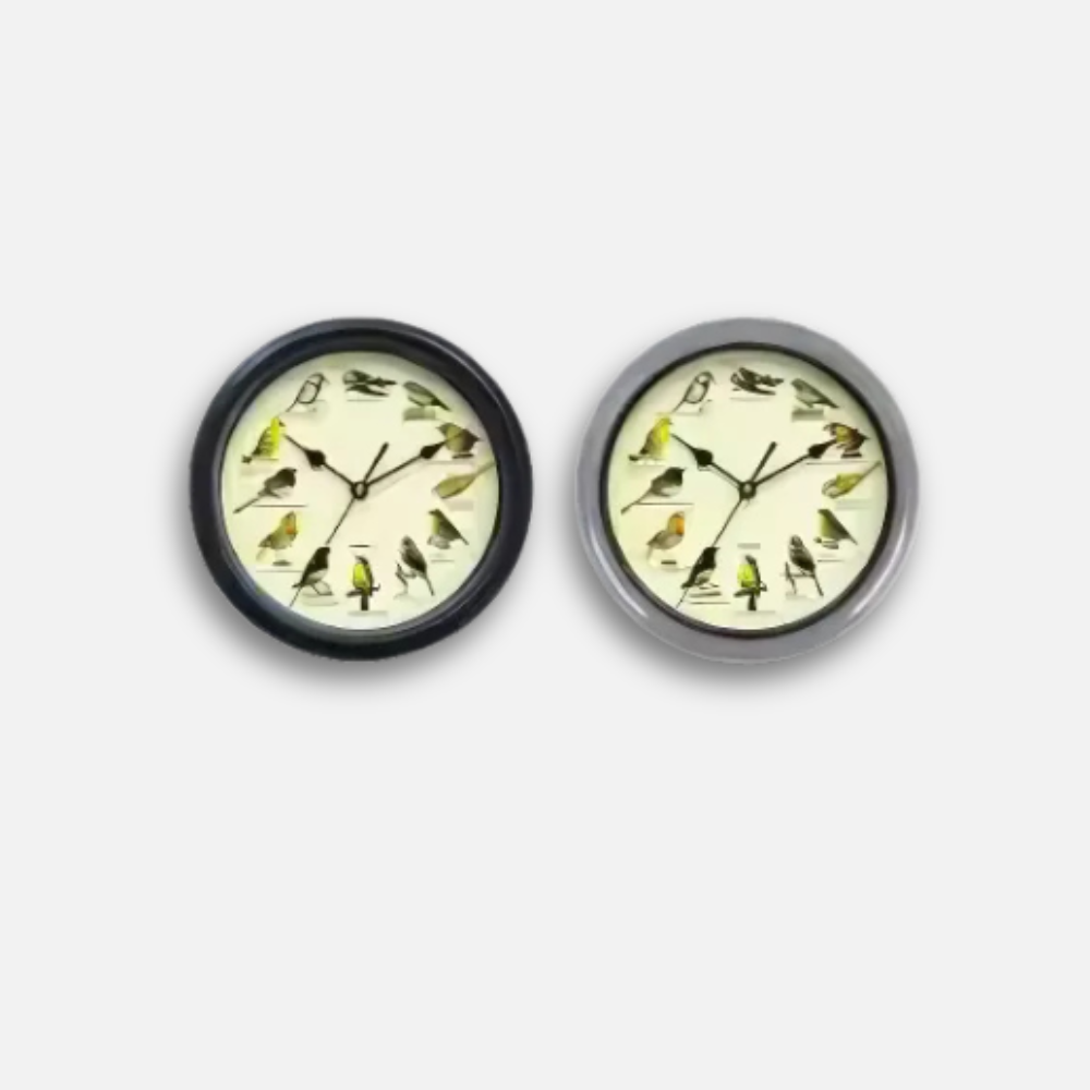 Horloge Oiseaux Chantants | 12 Espèces Authentiques | Thérapeutique